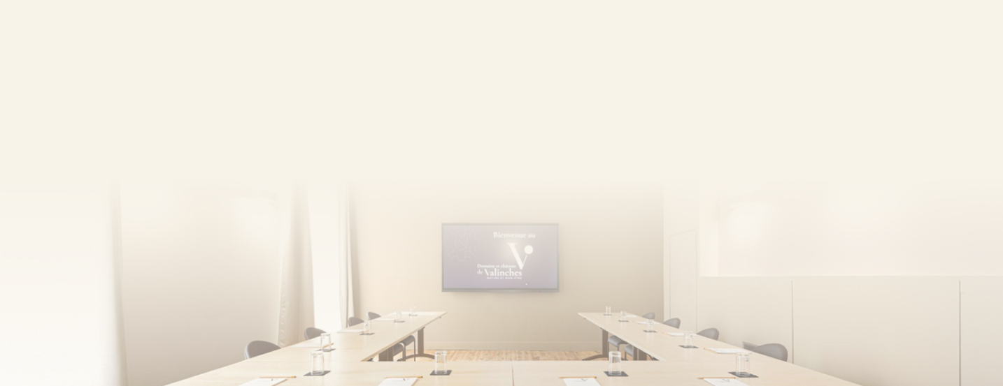 Salle de séminaire au Domaine et Château de Valinches